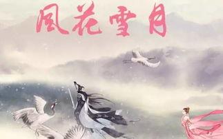 风花雪月 在线观看